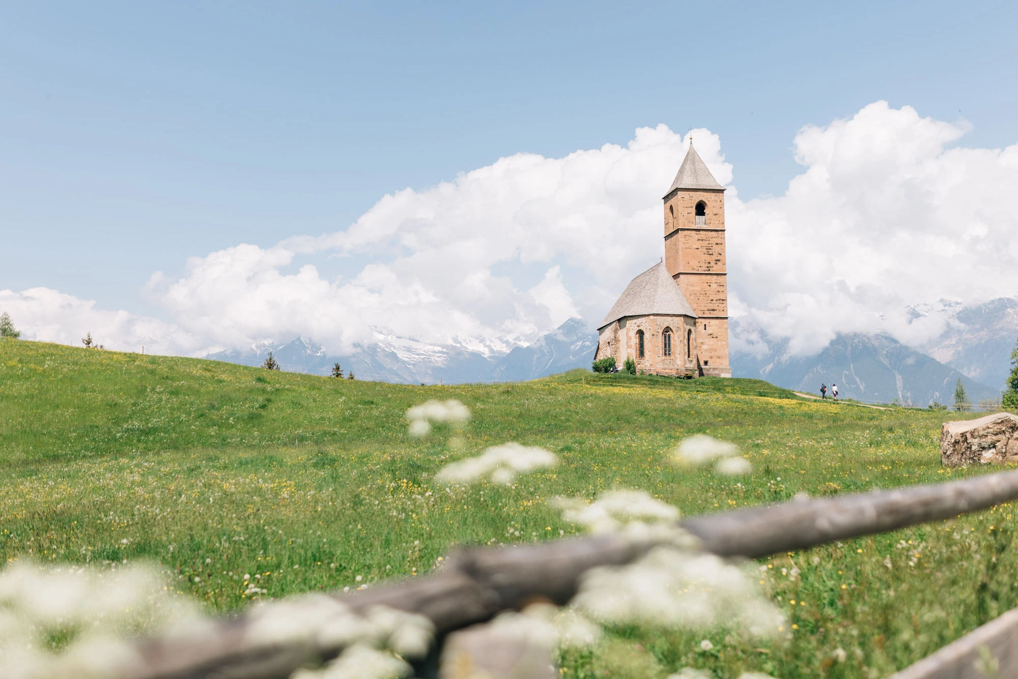 Settimane delle erbe di montagna